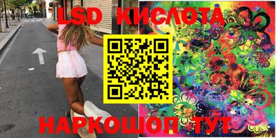 спиды Кингисепп