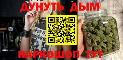 спиды Кингисепп