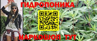 спиды Кингисепп
