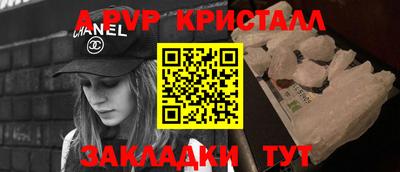 спиды Кингисепп