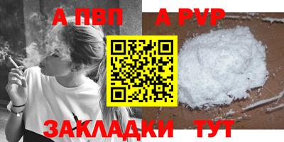 спиды Кингисепп
