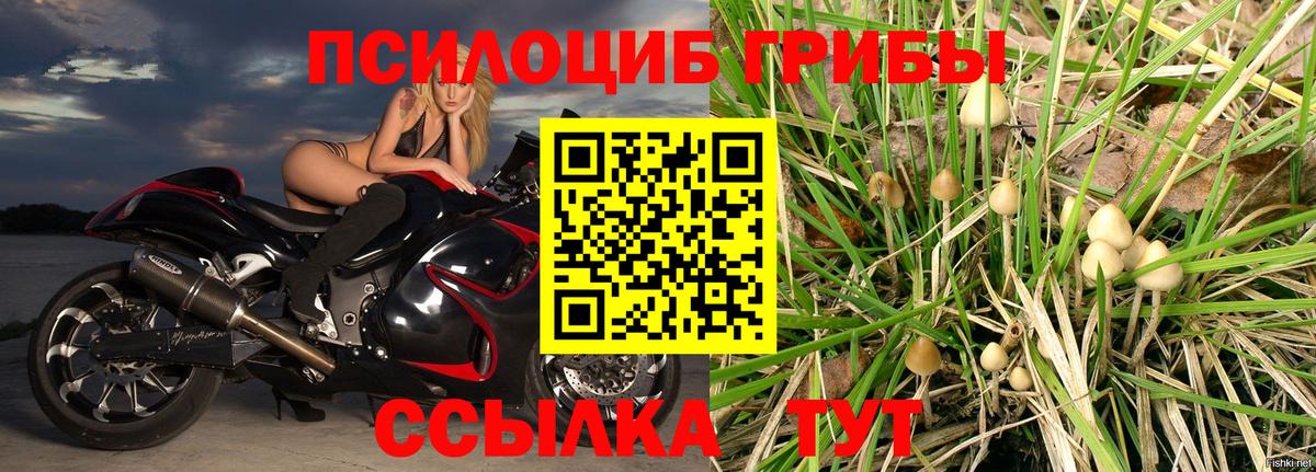 Галлюциногенные грибы мухоморы Верхняя Салда