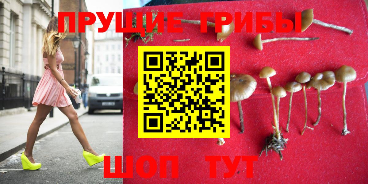 Верхняя Салда  Псилоцибиновые грибы мицелий  Вход с VPN  где найти   Галлюциногенные грибы Cubensis 